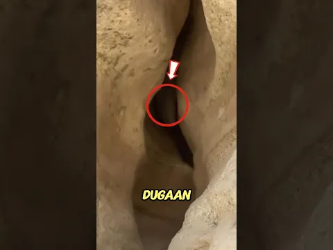 Merinding!Hewan aneh dibalik batu#shortsviral