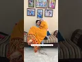 Download Lagu SWAPPING OUR CHARACTERS🤣#ytshorts #shorts #shortsfeed #aanduchhote #youtubeshorts #funny #viral #yt