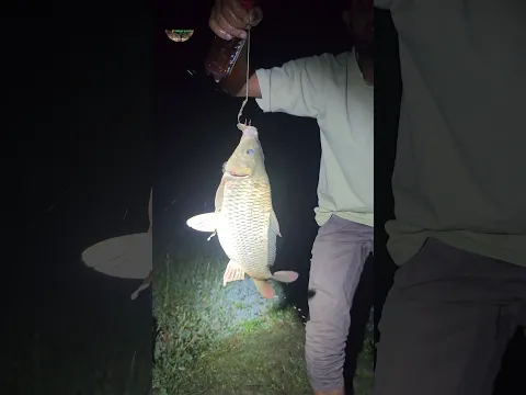 Night Fishing with a New Trap (Part_5) #night #nightfishing #fishcatching