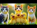 Download Lagu LAGU ANAK BEBEK - LAGU ANAK BALITA INDONESIA