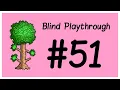 First time playing Terraria No Wiki