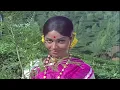 Malenada Henna Mai Banna - HD Video Song - Bhootayyana Maga Ayyu - Dr.Vishnuvardhan - Bhavani
