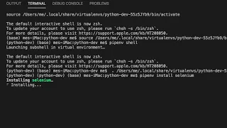 How to install Selenium on Virtual Environment using pipenv