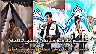                                                                                                      دندنها