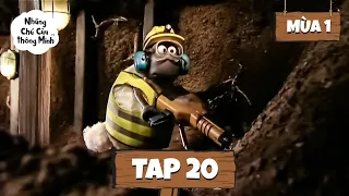 Shaun the Sheep [ViệtNam] Mùa 1 Tập 20