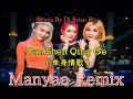 Download Lagu Dan Shen Qing Ge - 单身情歌 (Electro Remix 2023) By Dj Brian Bie