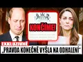 Download Lagu Princ William se hroutí poté, co test DNA potvrdil jeho skutečný původ