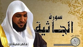 سورة الجاثية من مصحف التجويد   القارئ ماهر المعيقلي   دندنها