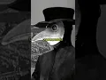Download Lagu Importance of Plague Doctors' Masks #shorts