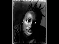 Busta Rhymes ft. Ol' Dirty Bastard - Woo-Hah!! Got You All In Check #90shiphop