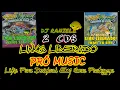 Download Lagu CDS Pró Music Clássicos Do Funk Vol 01 e 02 (LIBERADO) By RANIELE DJ