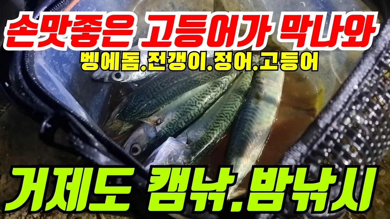 関連動画 サムネイル