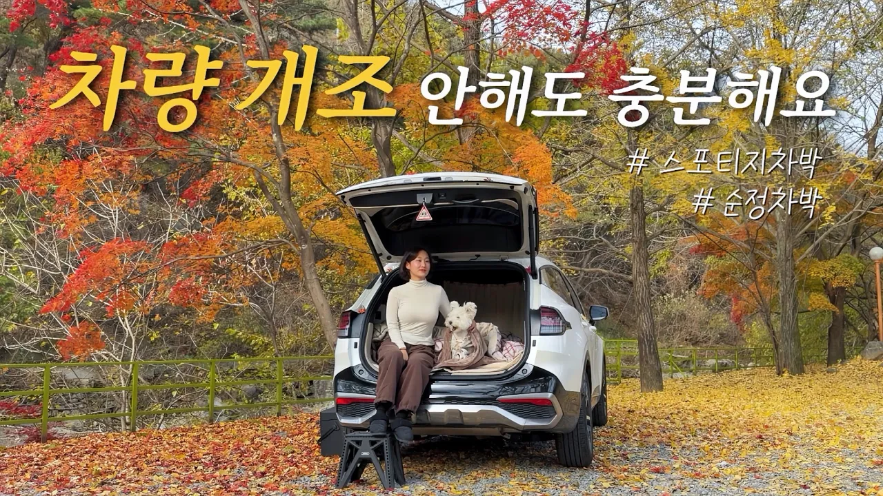 여자 혼자 스포티지 순정으로 즐기는 낭만차박🚗🍁 생미나리 삼겹살 | 공주차박 | 애견동반 캠핑 | 공주계곡이레캠핑장 | 솔로차박 | 단풍차박 썸네일