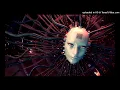 Capricorn - 20 Hz