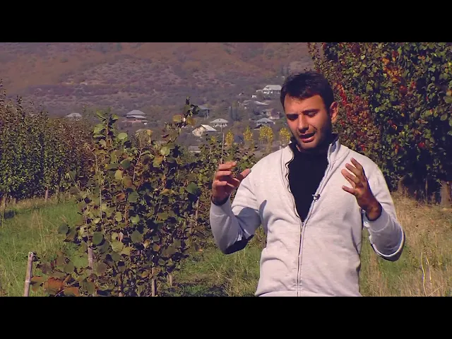 თხილის აგროტექნიკა