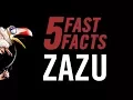 Fast Facts Zazu