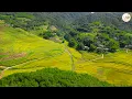 The World's Best Classical Instrumental Music, Relaxing Guitar Music Eliminates Stress