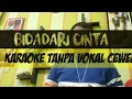 Download Lagu BIDADARI CINTA KARAOKE TANPA VOKAL CEWEK - BIDADARI CINTA KARAOKE TANPA VOKAL WANITA
