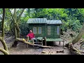 Download Lagu Camping hujan deras Di terjang hujan badai saat membangun shelter bambu di dalam hutan