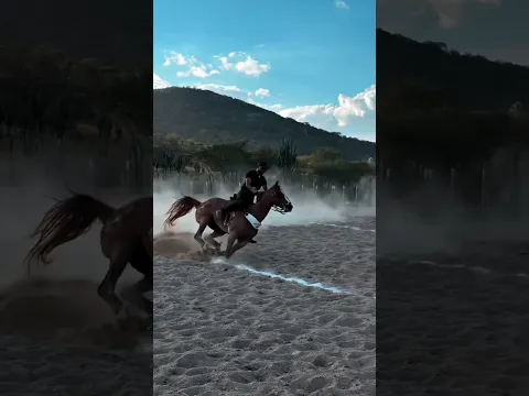 Treinozinho ❤️‍🔥🐎 #musica #vaquejada #cavalo