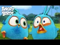 Angry Birds | The Blues' Smartest vs Dumbest Ideas! π