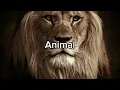 Zac Brown Band - Animal (Lyrics)