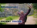 Walking Through Ancient Britain Ancient Tracks S2E03 Beyond Documentary