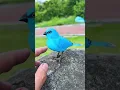 Download Lagu Blue Bird toy simulation electric singing bird can call and move#kibtoy #toy #cute #funnytoys