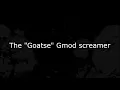 The Goatse Gmod Screamer Incident