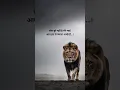 Download Lagu लोग बुरे नहीं है मेरे भाई...! #motivation #attitude #quotes #trending #viralvideo #status #shorts