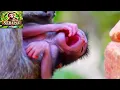Download Lagu Very adorable moments of a baby monkey while trying to be active | Serene Natural Wildlife