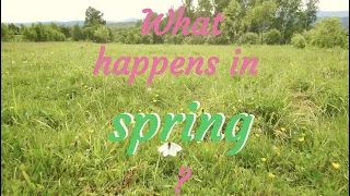 What happens in spring