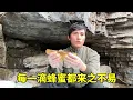 冬天是收获的季节，每一滴蜂蜜，都来之不易~【乡野志刚】
