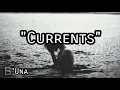 Currents - A Flag To Wave sub español