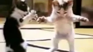 قشطه عليكي يا ندي دندنها