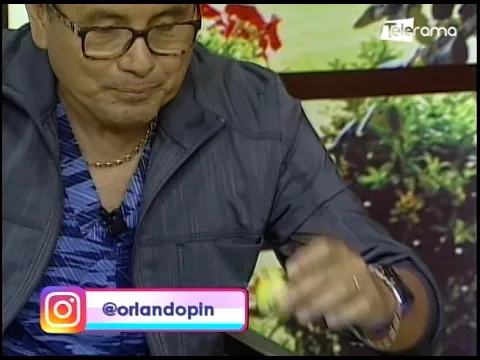 Reinfección por coronavirus ¿Tiene síntomas más fuertes?