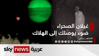 غيلان الصحراء   ضوء يوصلك إلى الهلاك    وثائقيات خاصة دندنها