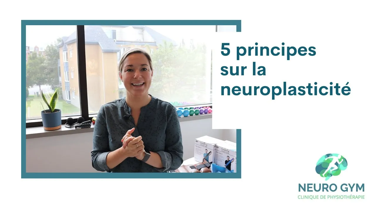 5 Principes sur la neuroplasticité