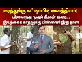 Download Lagu Benefits Of Hugging Trees | பின்லாந்து முதல் சீமான் வரை... இயற்கைக் காதல்! | Seeman | N18V