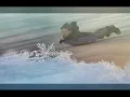 Skating... Vince Guaraldi Trio