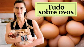 5 receitas imperdíveis com Ovos!