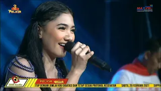 Download TUJUH SUMUR - LUSYANA JELITA - OM ADELLA FEAT NEW FELICIA MP3