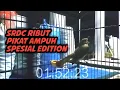 Download Lagu Suara Pikat SRDC Ribut Paling Ampuh | Sikatan Rimba Dada Coklat