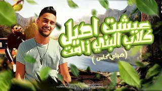 عيشت اصيل كلاب البني زامت صبلي كاس مصطفي الديشا توزيع سمعه الجوكر Official Music 2025  عيشت اصيل كلاب البني زامت صبلي كاس مصطفي الديشا توزيع سمعه الجوكر Official Music 2025