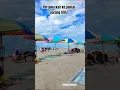 Lagu Kalau lagi di Jogja wajib ke pantai ini - pantai Parang Tritis #shorts #pantai #parangtritis #wisata