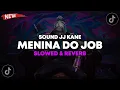 Download Lagu DJ Menina Do Job JJ Kane ( Slowed \u0026 Reverb ) 🎧