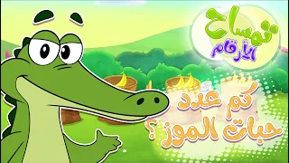           قناة مرح   برنامج تمساح الأرقام   تحدي الارقام والموز دندنها