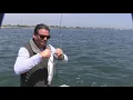 Fire Island Great South Bay Fishing forecast for May 3rd with Captain Al Lorenzetti
