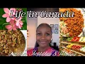 Download Lagu Life in Canada: Grocery shopping, Cooking and Meal preparation for Hosting friends #groceryhaul 