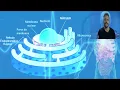 CELL NUCLEUS (HIGHER EDUCATION) - STRUCTURE AND FUNCTIONS